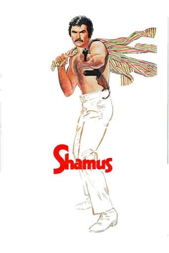 Affiche du film Shamus (1973)