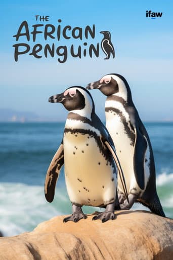 The African Penguin (2009) movie poster