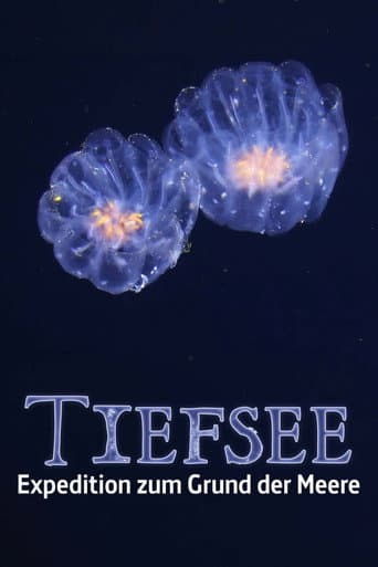 ملصق فيلم Faszination Tiefsee - Expedition zum Grund der Meere (2026)