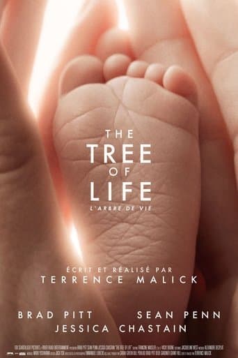 Affiche du film The Tree of Life (2011)