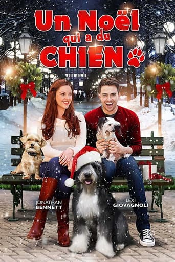 Affiche du film A Dogwalker's Christmas Tale (2015)