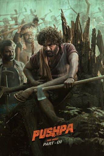 Affiche du film పుష్పా - The Rise (2021)