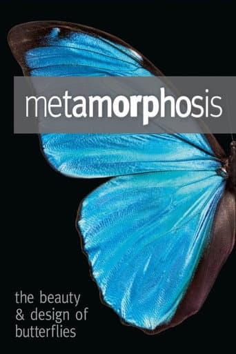 ملصق فيلم Metamorphosis: The Design and Beauty of Butterflies (2011)