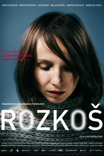 Rozkoš (2013) movie poster