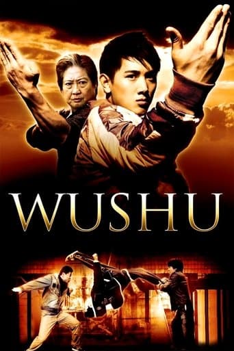 Affiche du film 武术之少年行 (2008)