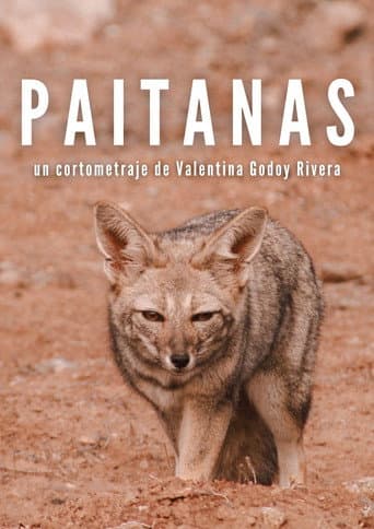 Paitanas movie poster