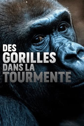 ملصق فيلم Gorillas unter Stress (2020)