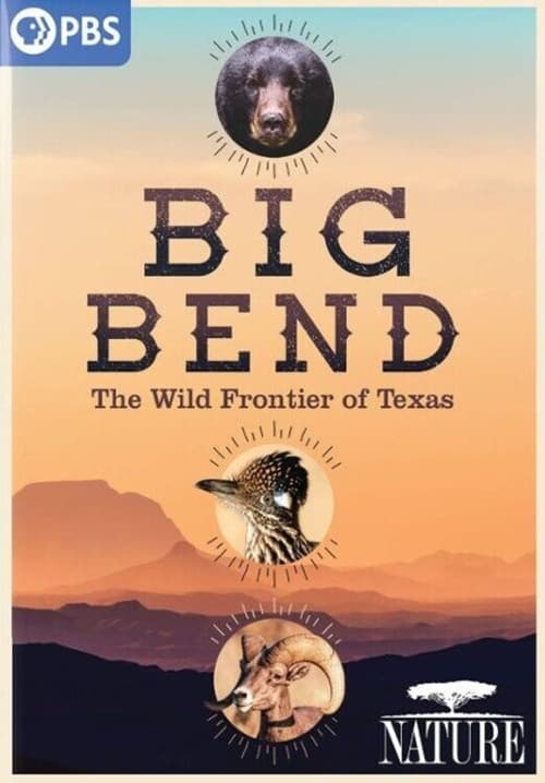 ملصق فيلم Big Bend: The Wild Frontier of Texas (2021)