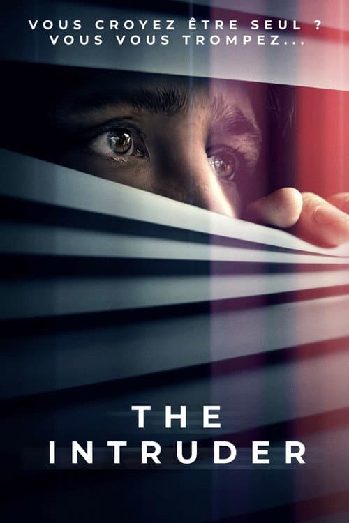 Affiche du film The Intruder (2024)