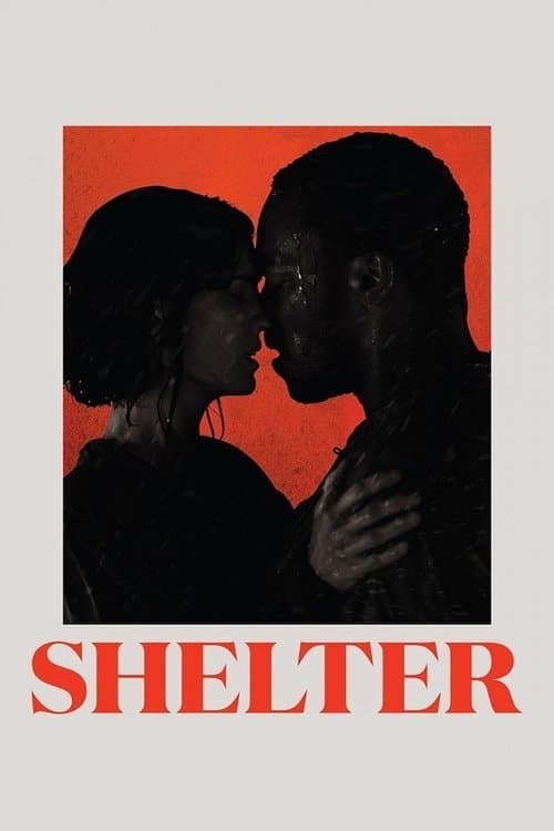 Affiche du film Shelter (2014)