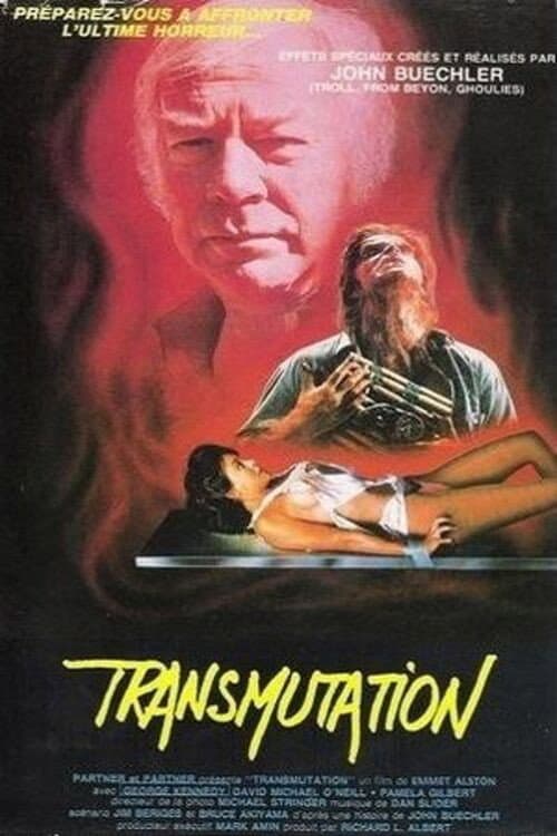 Affiche du film Hell Comes to Frogtown (1988)