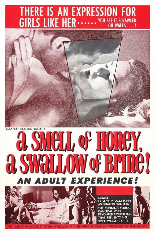Affiche du film A Smell of Honey, a Swallow of Brine (1966)