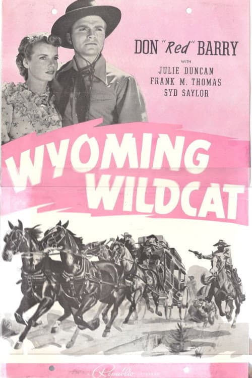 Affiche du film Wyoming Wildcat (1941)