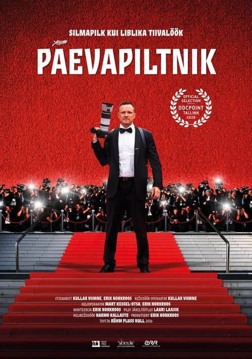 Päevapiltnik (2026) movie poster