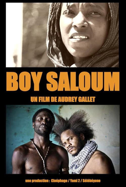 ملصق فيلم Boy Saloum : La révolte des Y’en a marre (2013)
