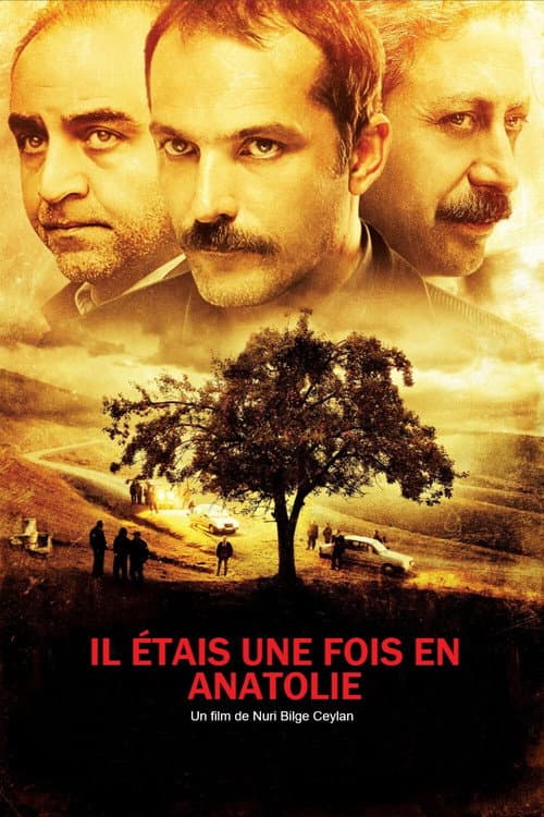 Affiche du film Bir Zamanlar Anadolu'da (2011)