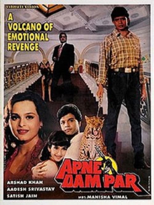 Affiche du film Apne Dam Par (1996)