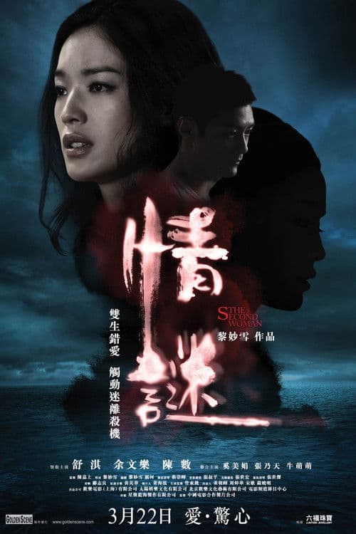 情谜 (2012) movie poster