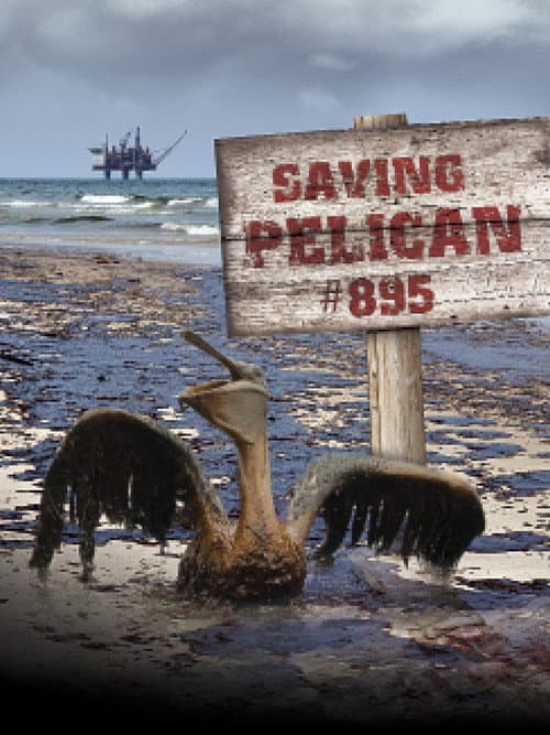 Affiche du film Saving Pelican 895 (2011)