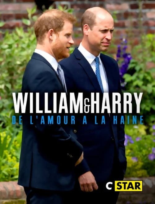 Affiche du film William et Harry : de l'amour à la haine (2023)