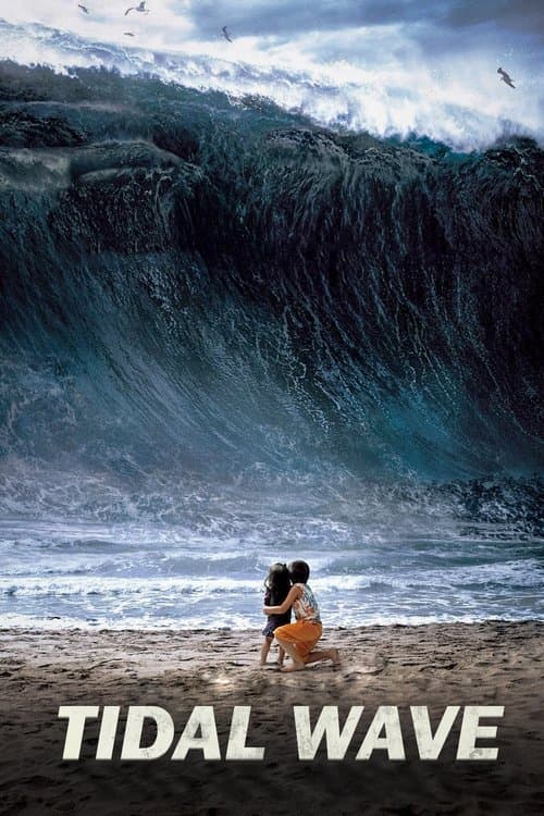 해운대 (2009) movie poster