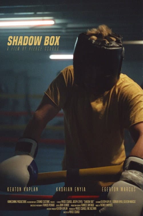 Shadow Box (2023) movie poster