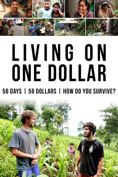ملصق فيلم Living on One Dollar (2013)