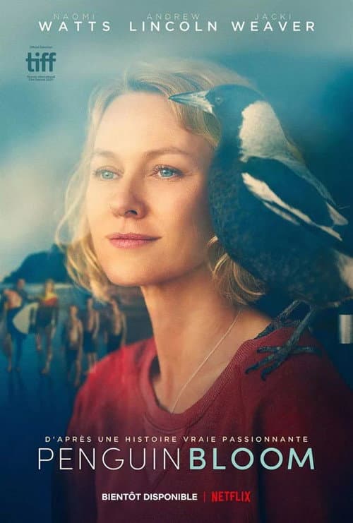 Affiche du film Penguin Bloom (2021)