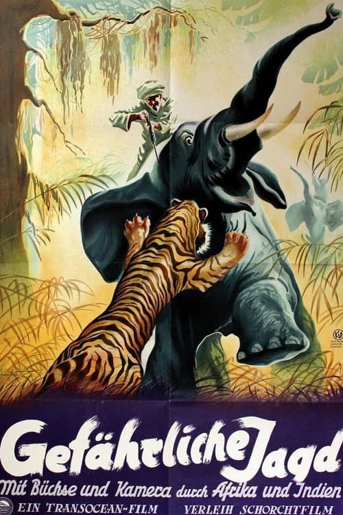 Gefährliche Jagd (1950) movie poster