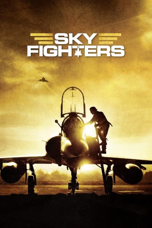 Les Chevaliers du ciel (2005) movie poster