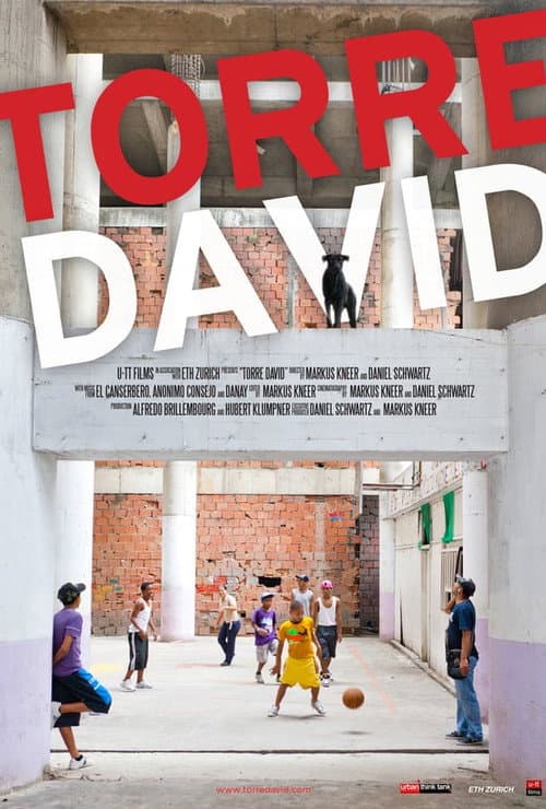 Torre David (2013) movie poster