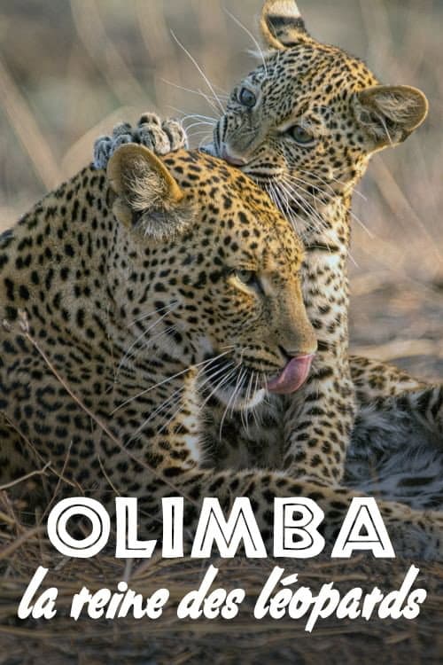 Affiche du film Olimba, Königin der Leoparden (2020)