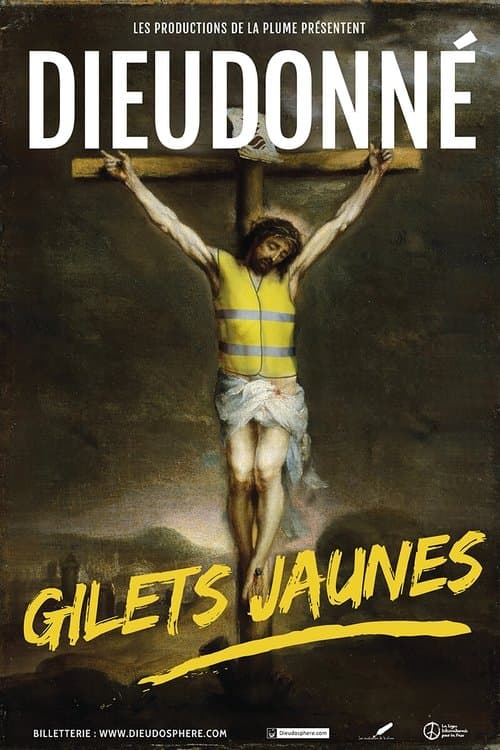 Affiche du film Dieudonné - Gilets Jaunes (2020)
