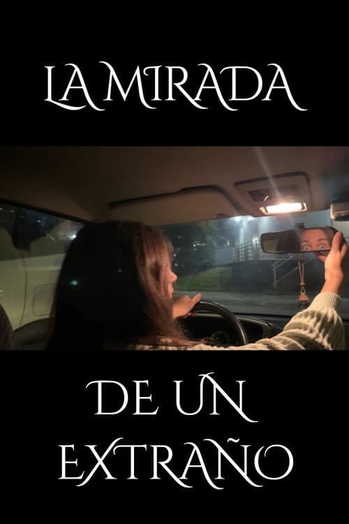 La mirada de un extraño (2025) movie poster