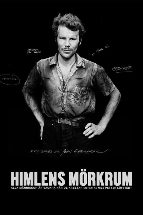 ملصق فيلم Himlens mörkrum (2017)