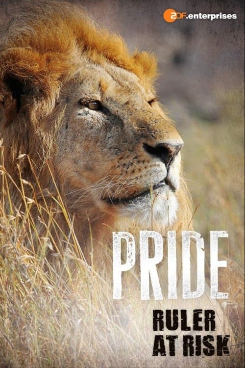 ملصق فيلم Pride Ruler at Risk (2016)