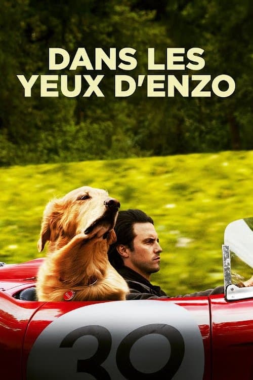 Affiche du film The Art of Racing in the Rain (2019)
