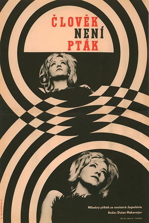ملصق فيلم Čovek nije tica (1965)