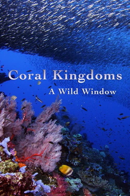 A Wild Window: Coral Kingdoms (2016) movie poster