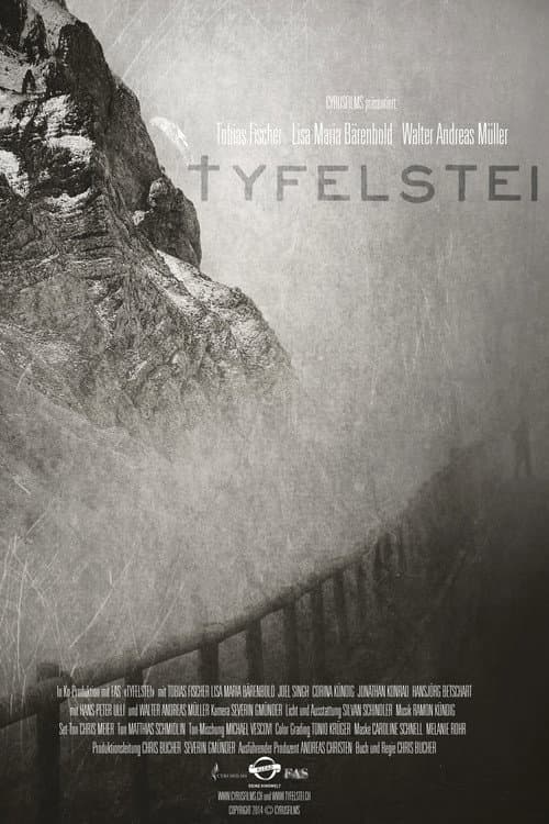Affiche du film Tyfelstei (2014)