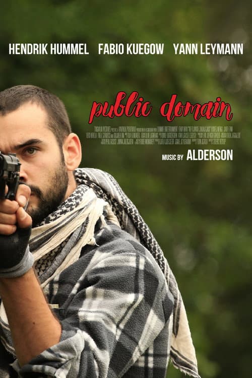 Affiche du film Public Domain (2020)