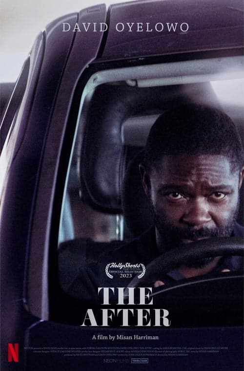 ملصق فيلم The After (2024)