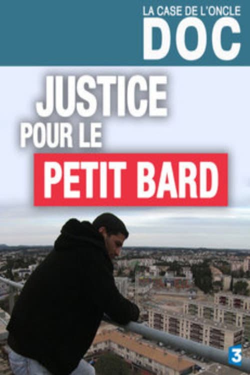 Affiche du film JUSTICE POUR LE PETIT BARD (2015)