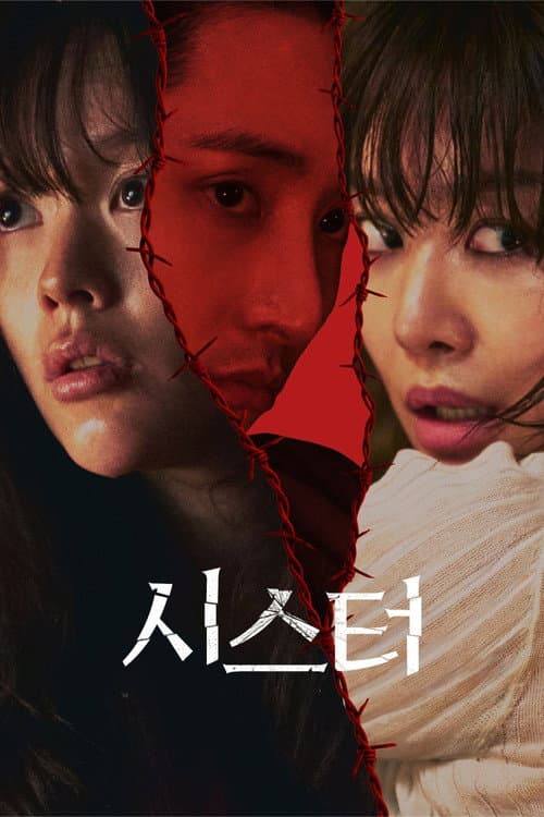 ملصق فيلم 시스터 (2026)