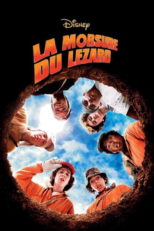 Affiche du film Holes (2003)