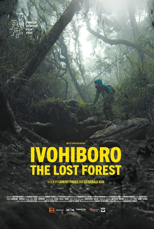 Ivohiboro: La Forêt Oubliée (2024) movie poster