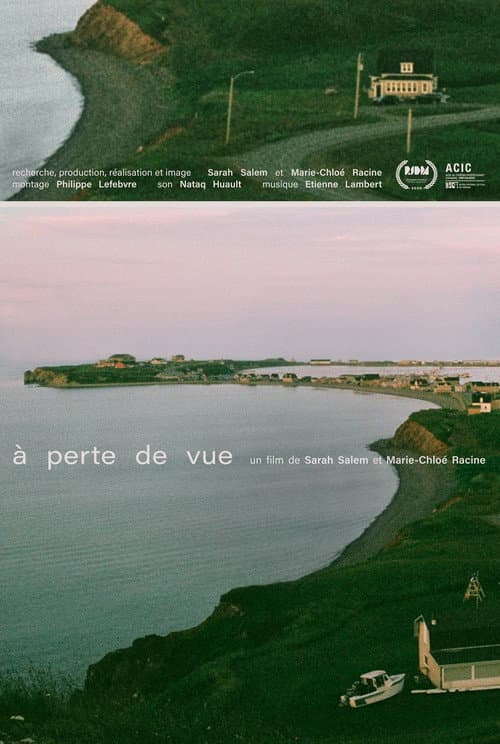 À perte de vue (2020) movie poster