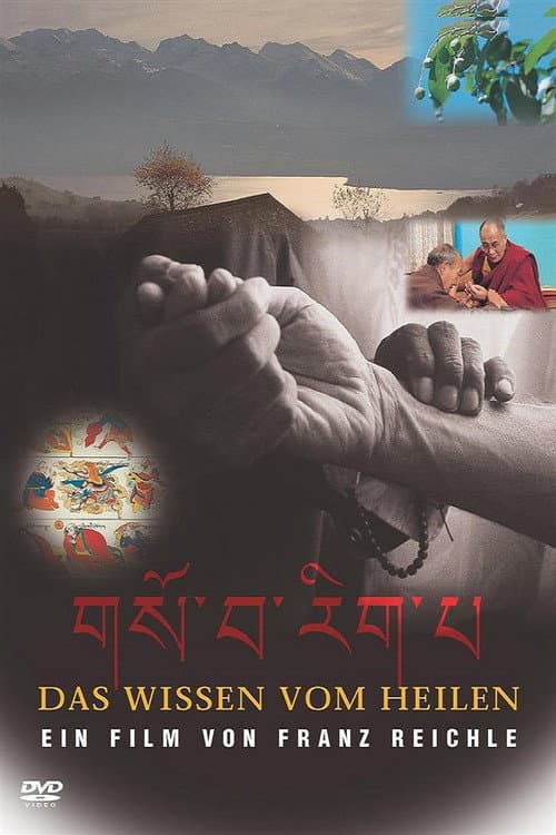 Das Wissen vom Heilen (1997) movie poster