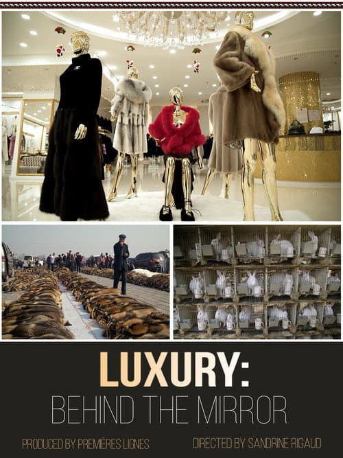 Luxury: Behind The Mirror (2019) movie poster