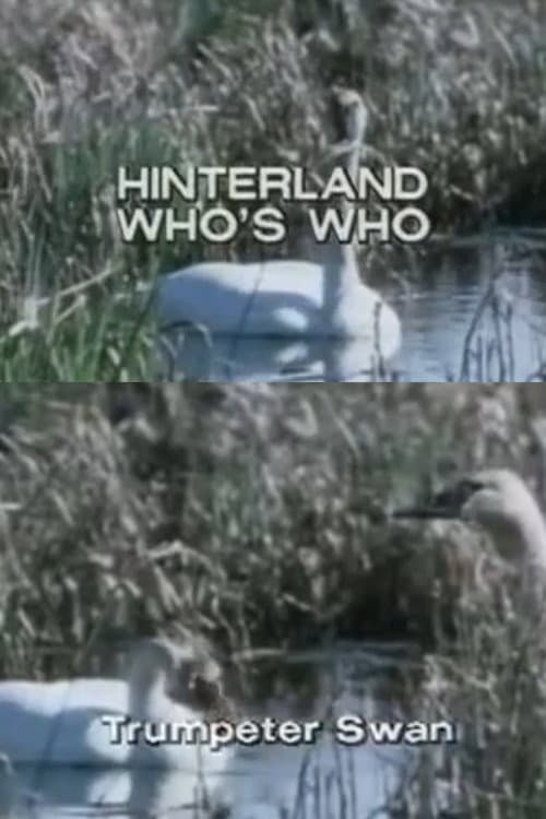 Hinterland Who's Who: Trumpeter Swan (1973) movie poster